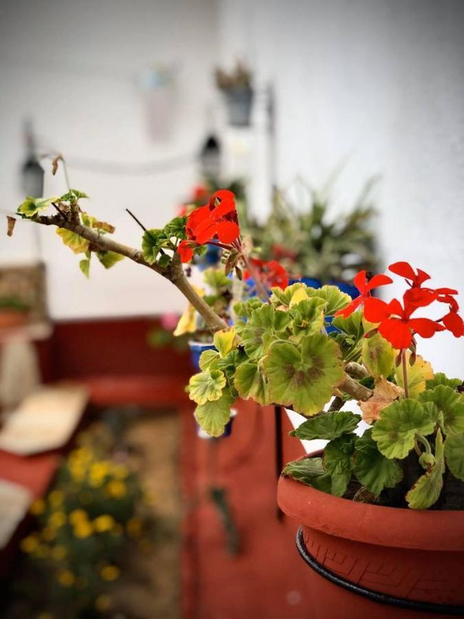 La Jara Casa Rural Hostal Hinojosa del Duque Exterior foto